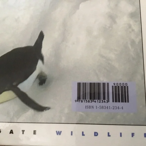 Penguins by Lenore Franzen (Let’s Investigate) - Picture 2 of 3